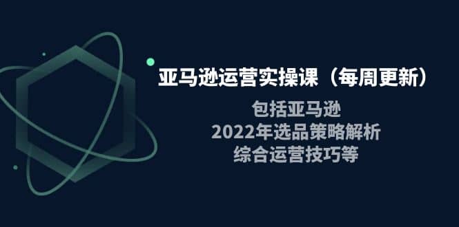 亚马逊运营实操课（每周更新）包括亚马逊2022选品策略解析，综合运营技巧等-时光资源网