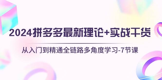 2024拼多多 最新理论+实战干货，从入门到精通全链路多角度学习-7节课-时光资源网