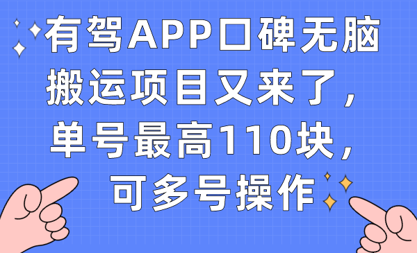有驾APP口碑无脑搬运项目又来了，单号最高110块，可多号操作-时光资源网