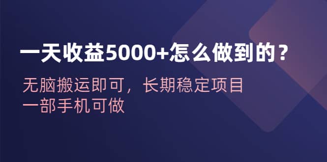 一天收益5000+怎么做到的？无脑搬运即可，长期稳定项目，一部手机可做-时光资源网