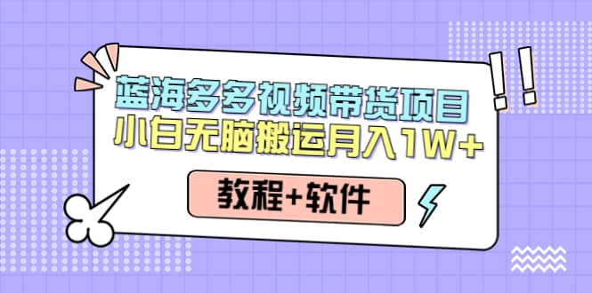 人人都能操作的蓝海多多视频带货项目 小白无脑搬运（教程+软件）-时光资源网