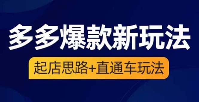 2023拼多多爆款·新玩法：起店思路+直通车玩法（3节精华课）-时光资源网