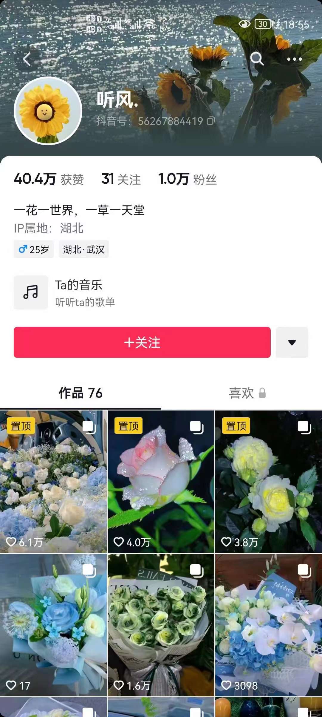 图片[2]-抖音壁纸变现项目：实战日入380+发布壁纸素材获取收益！-时光资源网