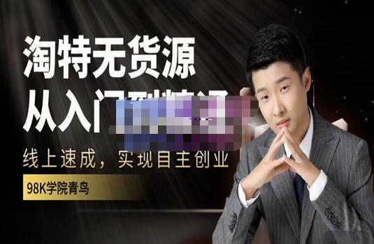 98k学院的淘特无货源线上速成课，从入门到精通，让你最小投入，最高回报-时光资源网