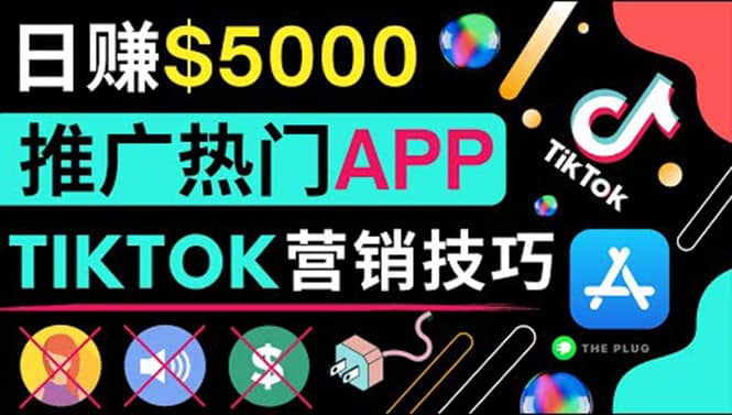 无需露脸，无需录音，无需投资，TIKTOK上传短视频，最高日入5000美元-时光资源网