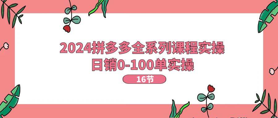 2024拼多多全系列课程实操，日销0-100单实操【16节课】-时光资源网