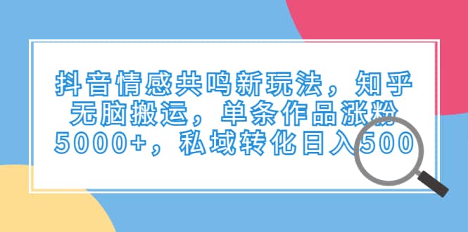 抖音情感共鸣新玩法，知乎无脑搬运，单条作品涨粉5000+，私域转化日入500-时光资源网