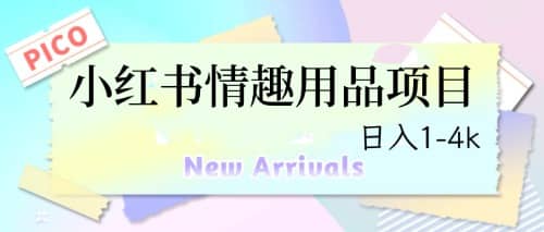 最新小红书情趣用品项目，日入1-4k-时光资源网