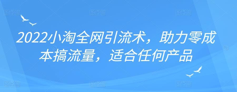 2022年小淘全网引流术，助力零成本搞流量，适合任何产品-时光资源网