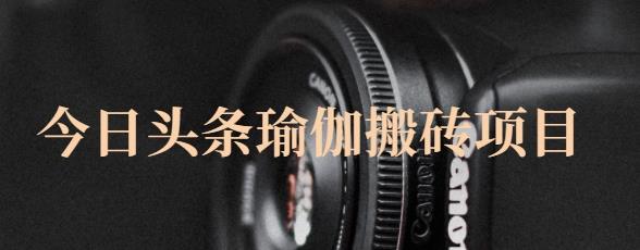 猎人社区·今日头条瑜伽搬砖项目，单号一天几十收入，可以批量操作！-时光资源网