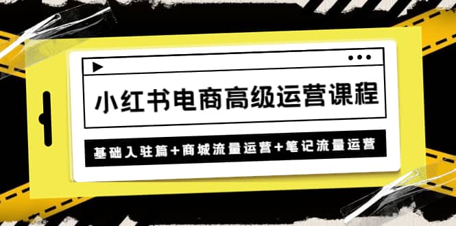 小红书电商高级运营课程：基础入驻篇+商城流量运营+笔记流量运营-时光资源网