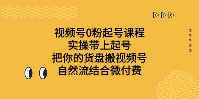 视频号0粉起号课程 实操带上起号 把你的货盘搬视频号 自然流结合微付费-时光资源网
