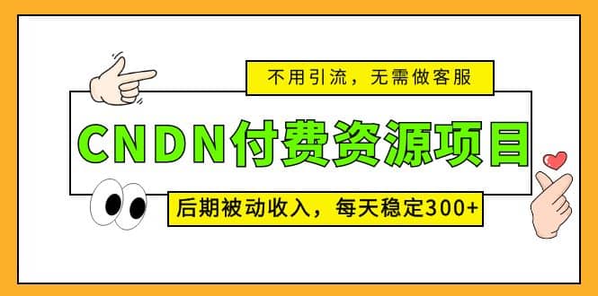 CNDN付费资源项目，不用引流，无需做客服，后期被动收入-时光资源网
