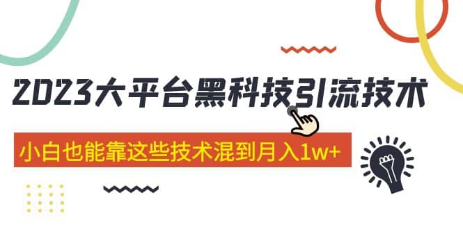 价值4899的2023大平台黑科技引流技术 29节课-时光资源网