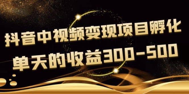 黄岛主《抖音中视频变现项目孵化》单天的收益300-500 操作简单粗暴-时光资源网