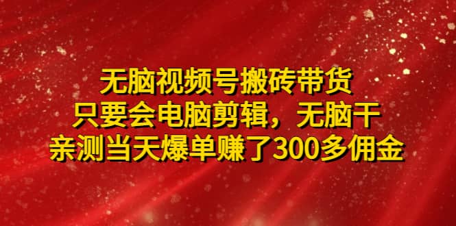 无脑视频号搬砖带货，只要会电脑剪辑，无脑干-时光资源网