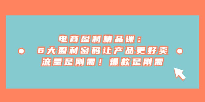 电商 盈利精品课：6大盈利 密码让产品更好卖，流量是刚需！爆款是刚需-时光资源网