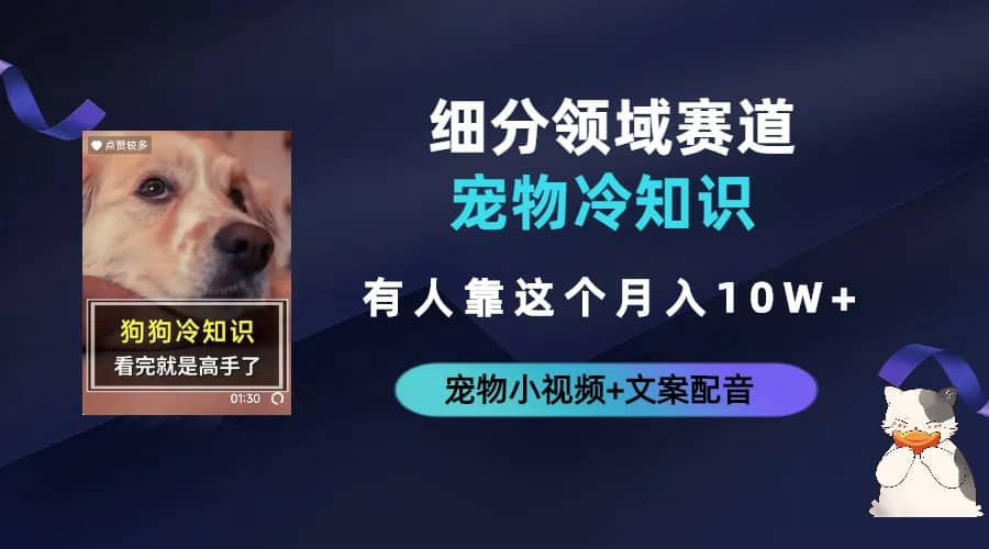 不起眼的抖音细分赛道-宠物冷知识，一段宠物视频配文案，有人靠这个月入10w-时光资源网