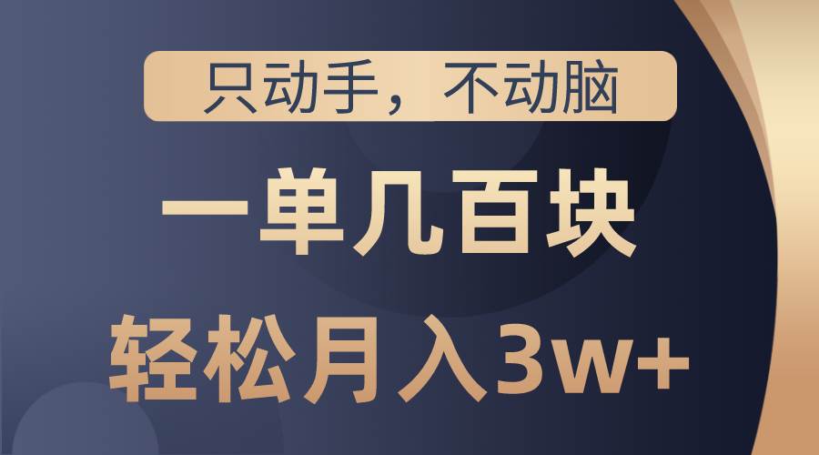 只动手不动脑，一单几百块，轻松月入3w+，看完就能直接操作，详细教程-时光资源网