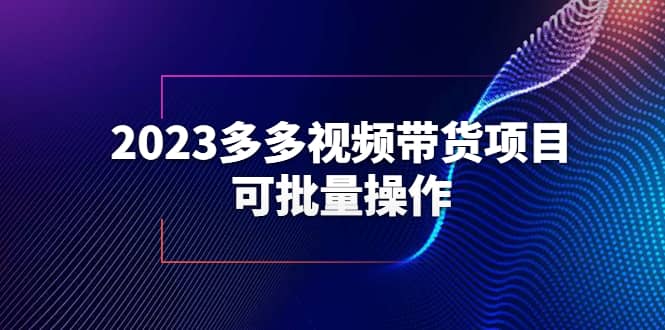 2023多多视频带货项目，可批量操作【保姆级教学】-时光资源网