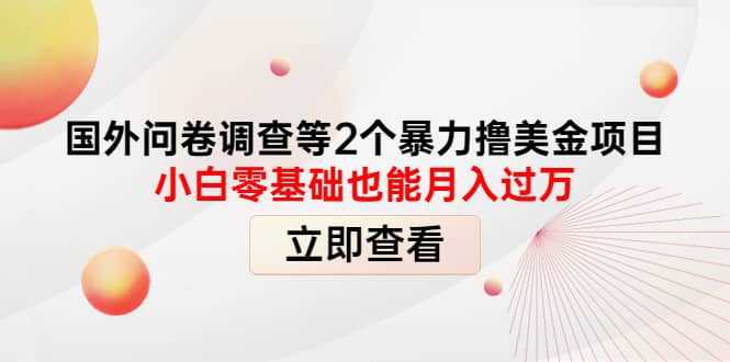 国外问卷调查等2个暴力撸美元项目，小白零基础也能月入过万-时光资源网