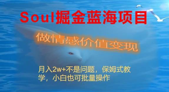 Soul掘金蓝海项目细分赛道，做情感价值变现，月入2w+不是问题-时光资源网