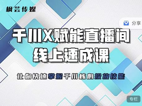 枫芸传媒-线上千川提升课，提升千川认知，提升千川投放效果-时光资源网