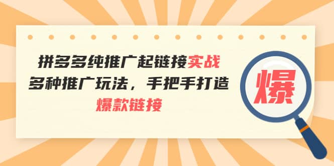拼多多纯推广起链接实战：多种推广玩法，手把手打造爆款链接-时光资源网