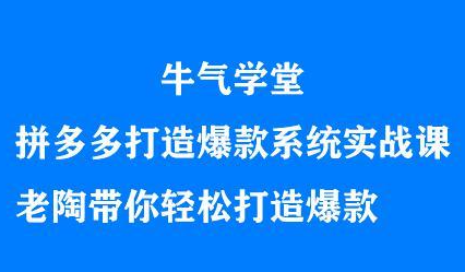 牛气学堂拼多多打造爆款系统实战课，老陶带你轻松打造爆款-时光资源网