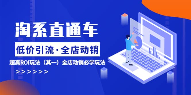 淘系直通车《低价·引流 全店·动销》超高ROI玩法（其一）全店动销必学玩法-时光资源网