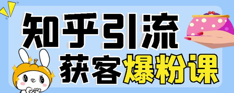 2022船长知乎引流+无脑爆粉技术：每一篇都是爆款，不吹牛，引流效果杠杠的-时光资源网