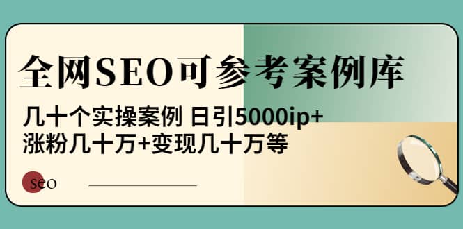《全网SEO可参考案例库》几十个实操案例-时光资源网