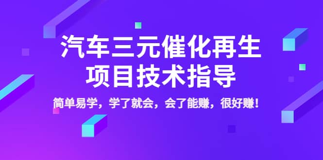汽车三元催化再生项目技术指导，简单易学，学了就会，会了能赚，很好赚！-时光资源网
