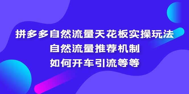 拼多多自然流量天花板实操玩法：自然流量推荐机制，如何开车引流等等-时光资源网