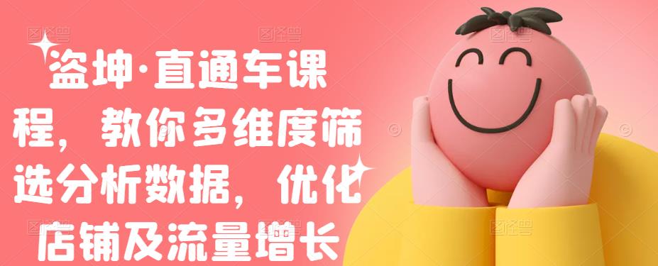 盗坤·直通车课程，教你多维度筛选分析数据，优化店铺及流量增长-时光资源网