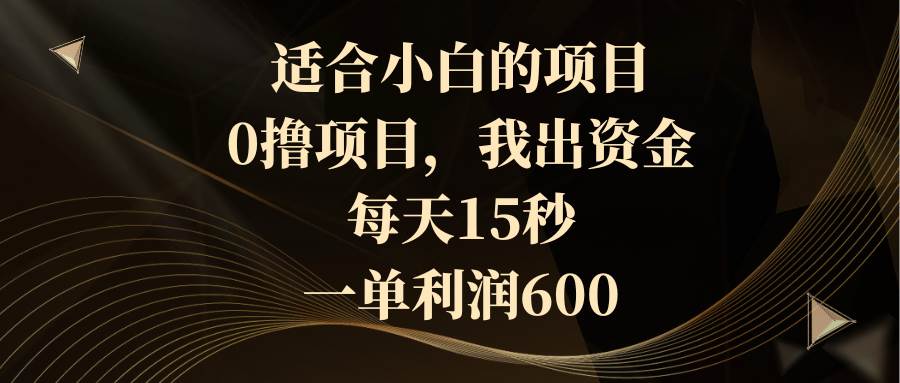 适合小白的项目，0撸项目，我出资金，每天15秒，一单利润600-时光资源网