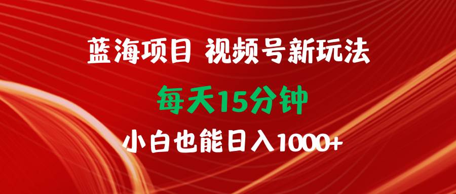 蓝海项目视频号新玩法 每天15分钟 小白也能日入1000+-时光资源网