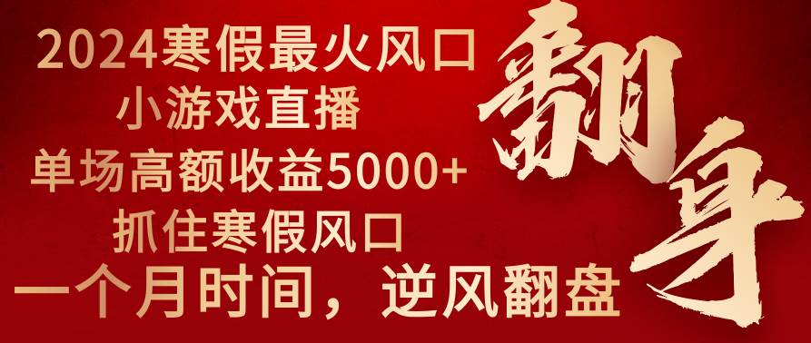 2024年最火寒假风口项目 小游戏直播 单场收益5000+抓住风口 一个月直接提车-时光资源网