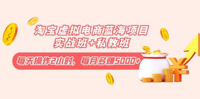 淘宝虚拟电商蓝海项目实战班+私教班-时光资源网