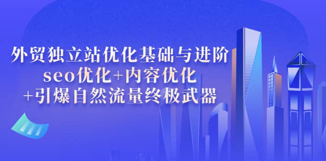 外贸独立站优化基础与进阶，seo优化+内容优化+引爆自然流量终极武器-时光资源网
