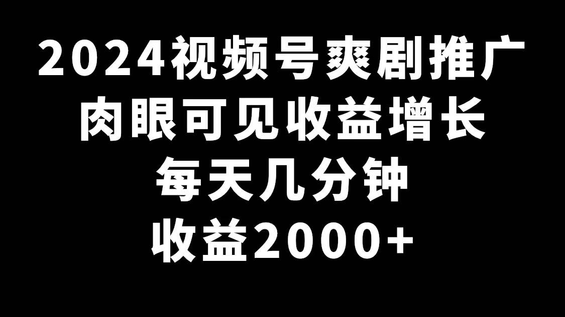 2024视频号爽剧推广，肉眼可见的收益增长，每天几分钟收益2000+-时光资源网
