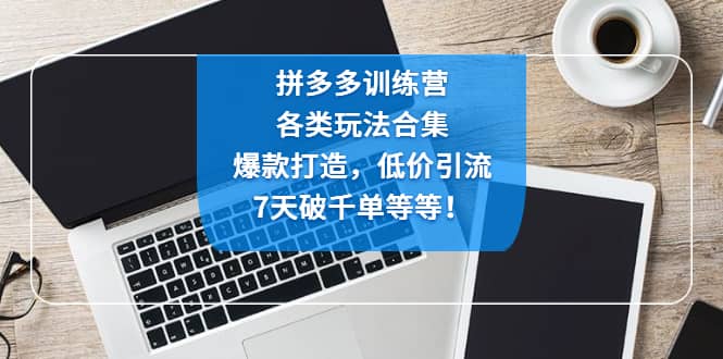拼多多训练营：各玩法合集，爆款打造，低价引流，7天破千单等等-时光资源网