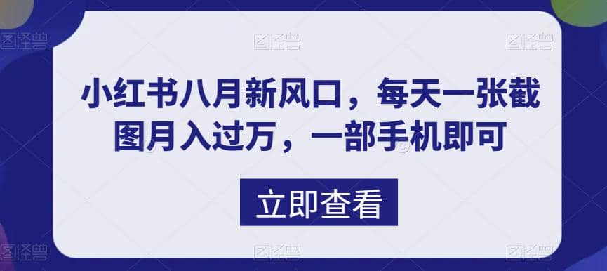 八月新风口，小红书虚拟项目一天收入1000+，实战揭秘-时光资源网