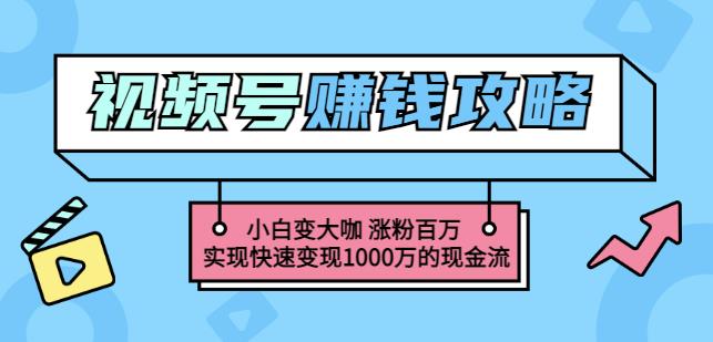 玩转微信视频号赚钱：小白变大咖涨粉百万实现快速变现1000万的现金流-时光资源网