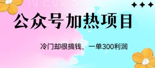 冷门公众号加热项目，一单利润300+-时光资源网