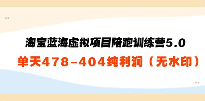 淘宝蓝海虚拟项目陪跑训练营5.0：单天478纯利润（无水印）-时光资源网
