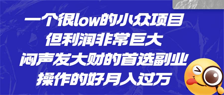 一个很low的小众项目，但利润非常巨大，闷声发大财的首选副业，月入过万-时光资源网