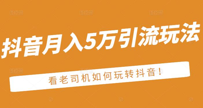 老古董·抖音月入5万引流玩法，看看老司机如何玩转抖音(附赠：抖音另类引流思路)-时光资源网