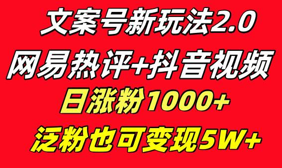 文案号新玩法 网易热评+抖音文案 一天涨粉1000+ 多种变现模式 泛粉也可变现-时光资源网