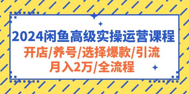 2024闲鱼高级实操运营课程：开店/养号/选择爆款/引流/月入2万/全流程-时光资源网